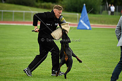 Hermanus of the Two Roses