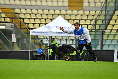 Hermes vom Brachtpetal