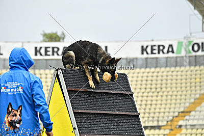 Hermes vom Brachtpetal