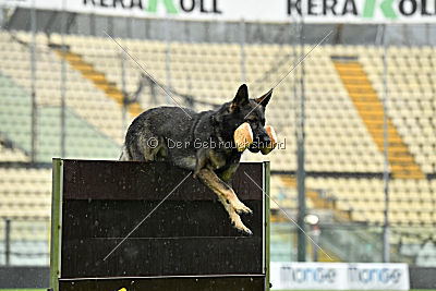 Hermes vom Brachtpetal