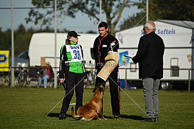 Herros von der bösen Nachbarschaft