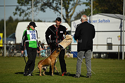 Herros von der bösen Nachbarschaft