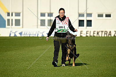 Hesselballe Hugo Junior