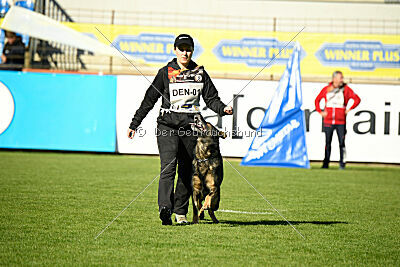 Hesselballe Hugo Junior