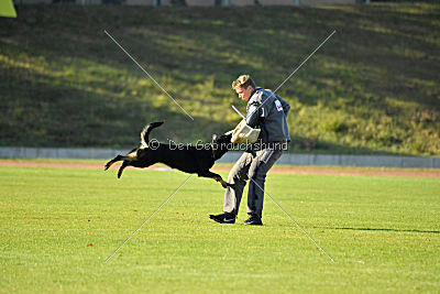 Hexe vom Speedteam Bodensee