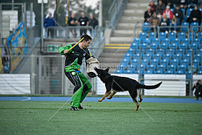 Hibiko von der Hainaer Burg