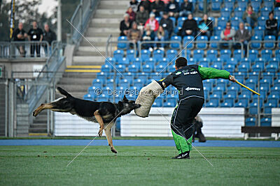 Hibiko von der Hainaer Burg