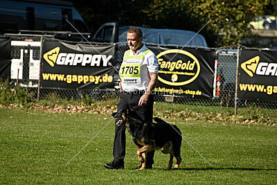 Hibiko von der Hainaer Burg