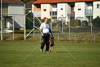 High Drives Carlo