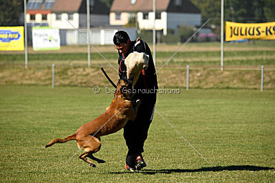 High Drives Cenai