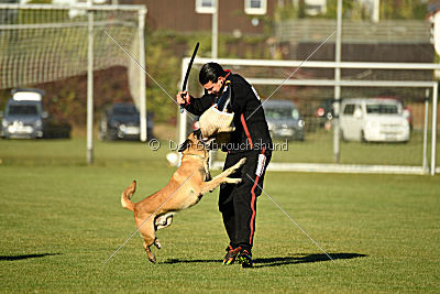 High Drives Dastan