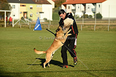 High Drives Dastan