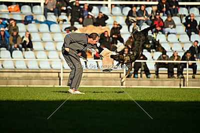 Hilde vom Spektefeld