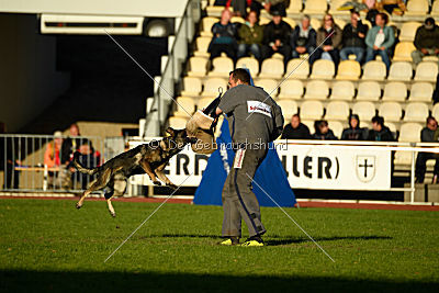 Hilde vom Spektefeld