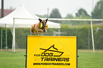 Hip-Hop des Plaines d'Octodure