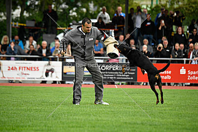 Hobbit vom Tanneneck