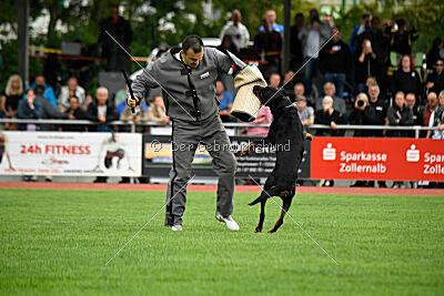 Hobbit vom Tanneneck