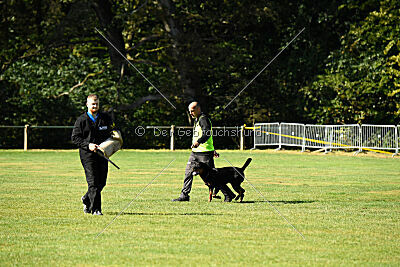 Hobbit vom Tanneneck