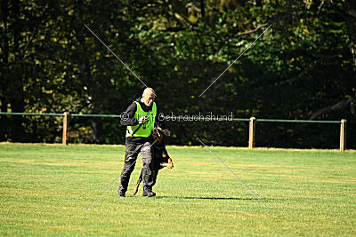 Hobbit vom Tanneneck