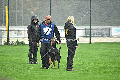 Hobbit vom Tanneneck