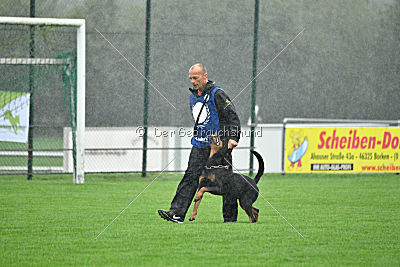 Hobbit vom Tanneneck