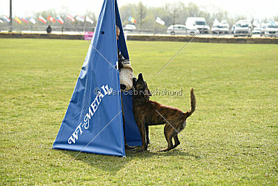 Holland Rasco van Le Dobry