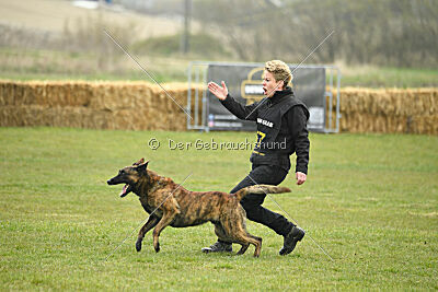 Holland Rasco van Le Dobry