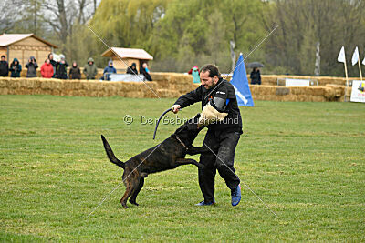 Holland Vato Loco van le Dobry