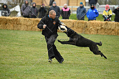 Holland Vato Loco van le Dobry