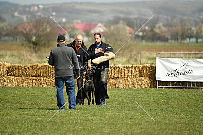 Holland Vayen van Le Dobry