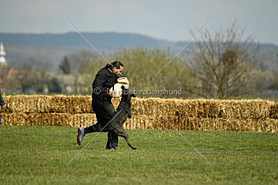 Holland Vayen van Le Dobry