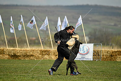 Holland Vayen van Le Dobry