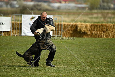 Holland Vayen van Le Dobry