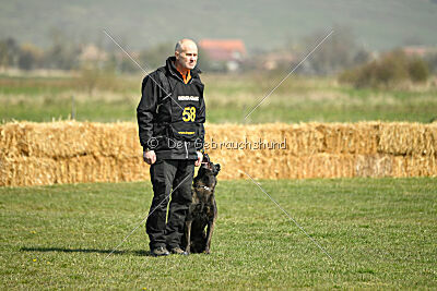 Holland Vayen van Le Dobry
