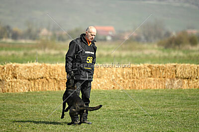 Holland Vayen van Le Dobry