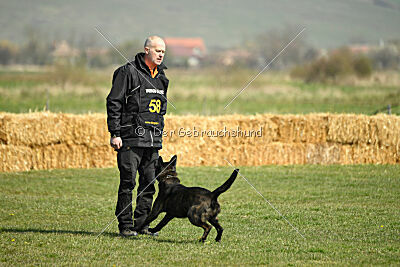 Holland Vayen van Le Dobry
