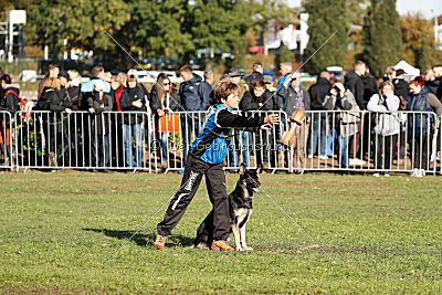 Honda von der kleinen Birke