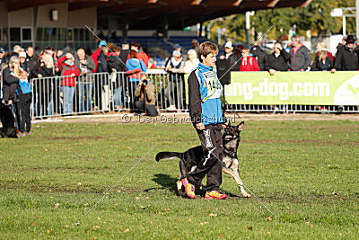 Honda von der kleinen Birke