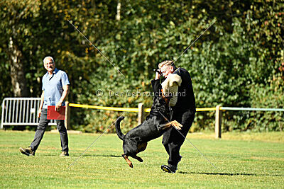 Hops von den Wichtelhäusern