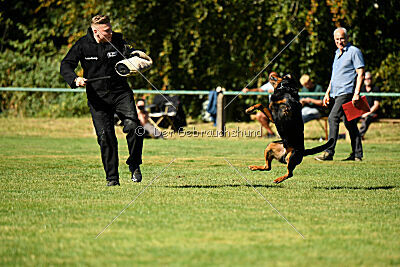 Hops von den Wichtelhäusern