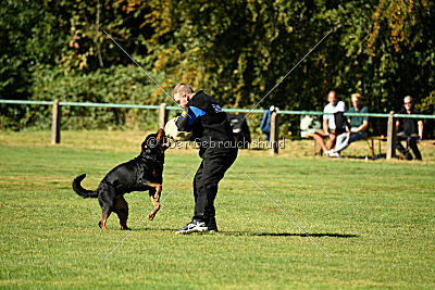 Hops von den Wichtelhäusern