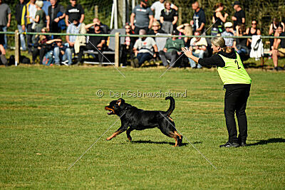 Hops von den Wichtelhäusern