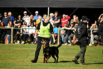 Hops von den Wichtelhäusern