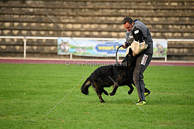 HotShot vom Hessenstein