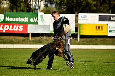 HotShot vom Hessenstein