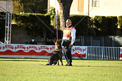 Hunter zu den grauen Birken