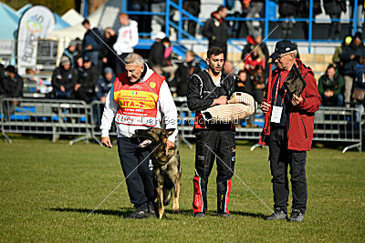 Hunter zu den grauen Birken