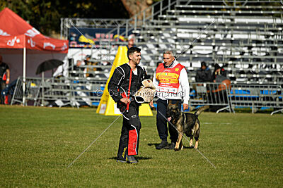 Hunter zu den grauen Birken