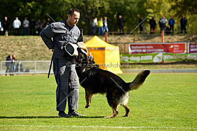 Hyperion von den Donnersöhnen