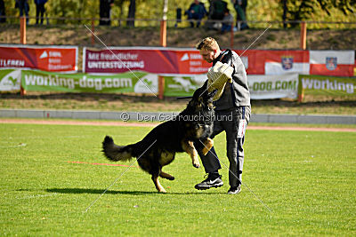 Hyperion von den Donnersöhnen